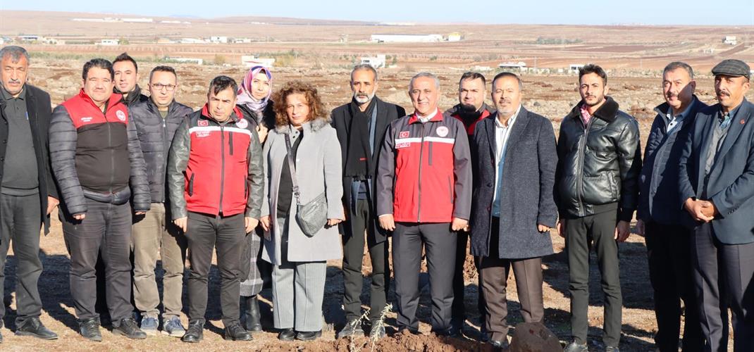 GAZİANTEP MERALARI SÜPER YEM BİTKİSİ İLE TANIŞIYOR